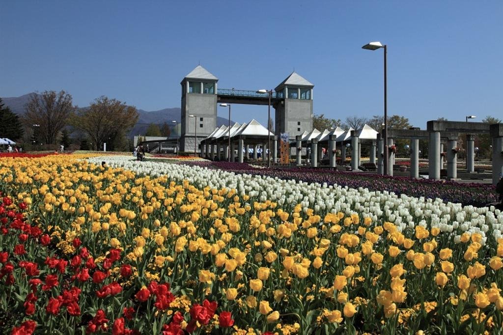 🌸 군마 플라워 파크 플러스 (군마 후라와파쿠 푸라스) 이미지 1